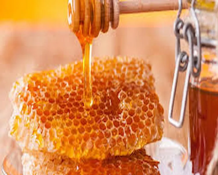 عسل طبیعی موم دار + قیمت خرید، کاربرد، مصارف و خواص