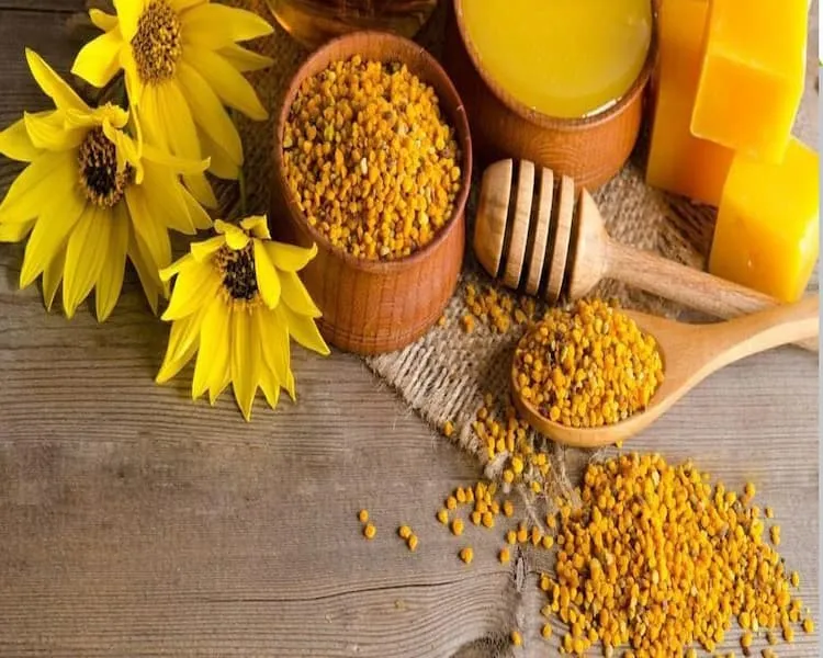 قیمت خرید گرده گل جنگل + مشخصات، عمده ارزان