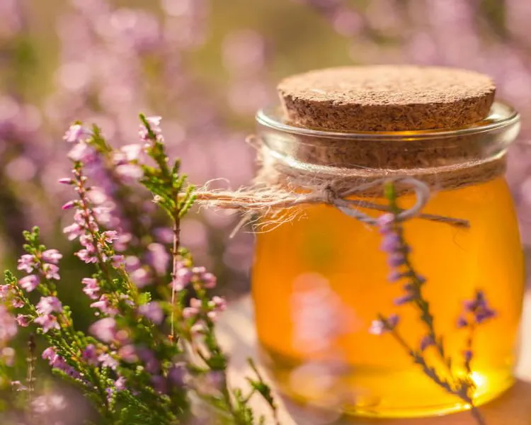 عسل آویشن کوهی + قیمت خرید، کاربرد، مصارف و خواص