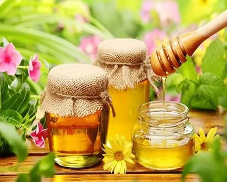 قیمت و خرید عسل شهد چهل گیاه + فروش ارزان