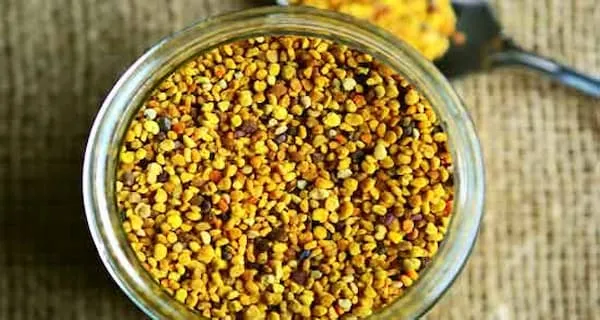 خرید و قیمت انواع گرده گل کوهستان
