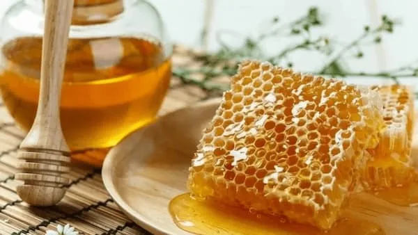 قیمت خرید عسل آویشن کوهی + عکس