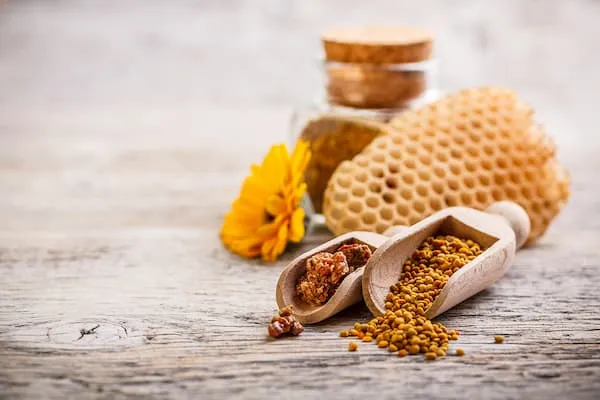 راهنمای خرید گرده گل جنگل + قیمت عالی
