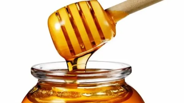 خرید انواع ژل رویال جنگل + قیمت