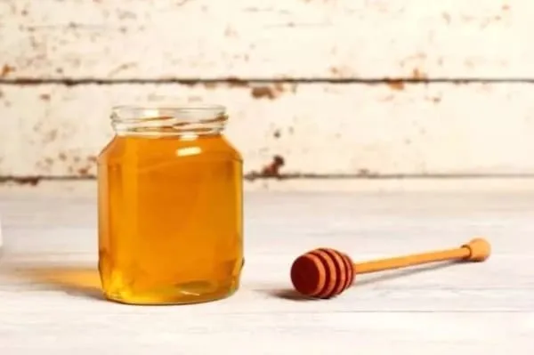 معرفی عسل برای زخم + بهترین قیمت خرید
