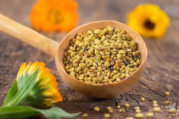 راهنمای خرید گرده گل جنگل + قیمت عالی