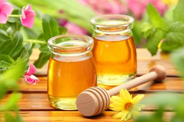 خرید و قیمت انواع عسل آویشن چیست؟