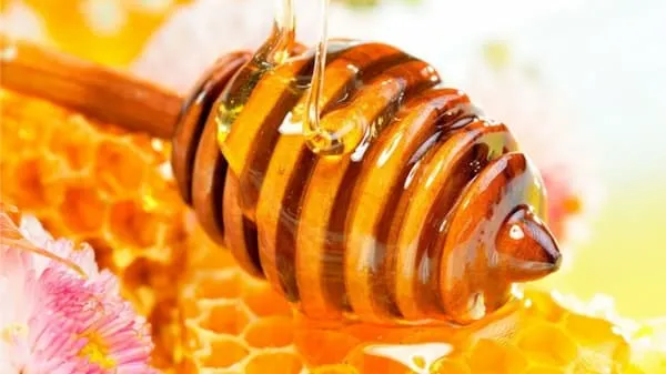 عسل برای تقویت سیستم ایمنی + بهترین قیمت خرید
