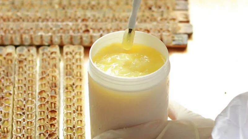 خرید و قیمت روز ژل رویال کوهستان
