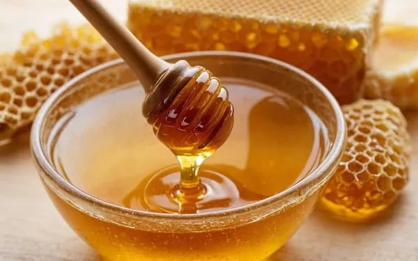 معرفی عسل برای زخم + بهترین قیمت خرید